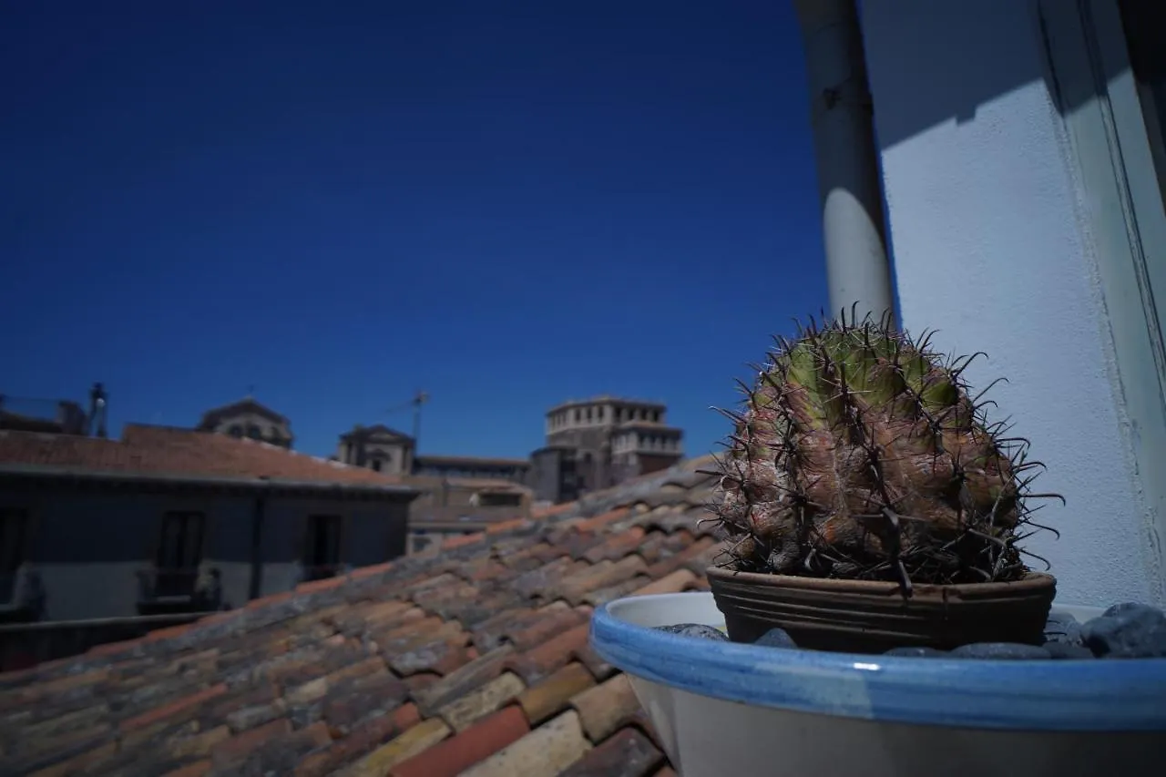 Casa Delle Rondini Διαμέρισμα Κατάνια