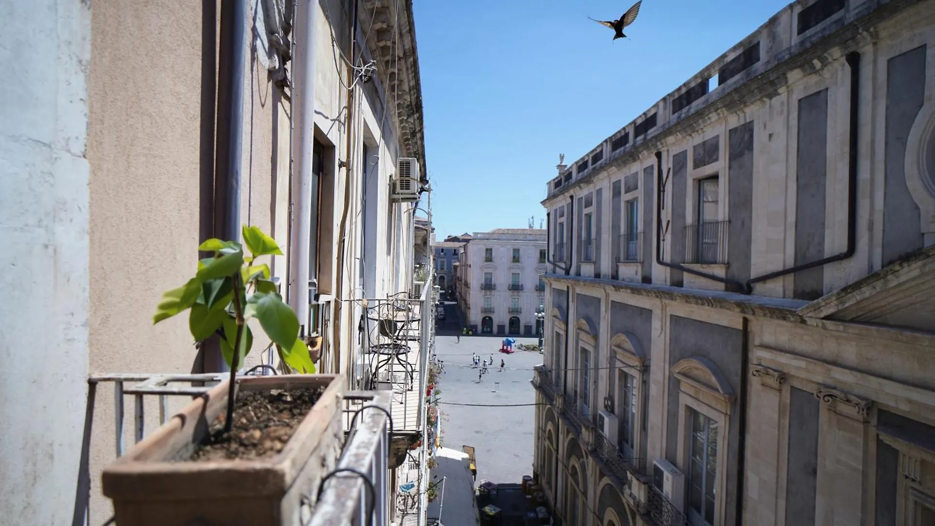 Casa Delle Rondini Διαμέρισμα Κατάνια